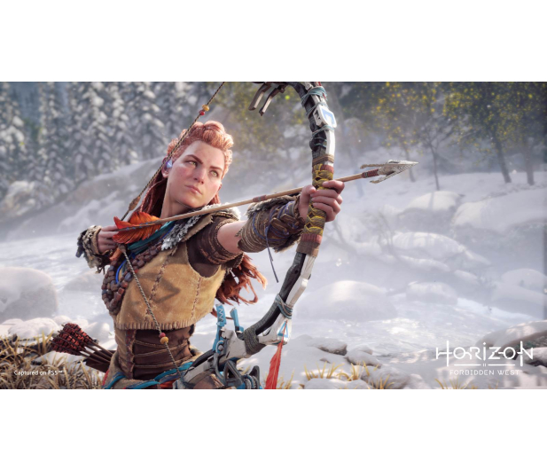 Guerilla Games Horizon Forbidden West PS4 - 1464199 - zdjęcie 14